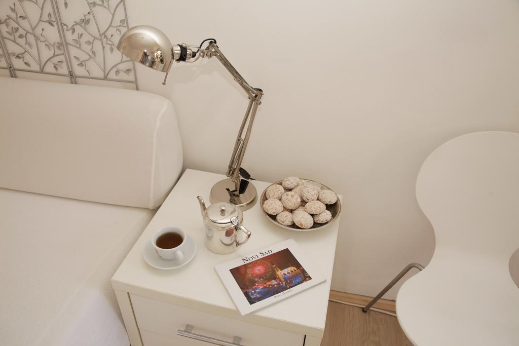 Apartment Spacious Liman โนวีซาด ภายนอก รูปภาพ
