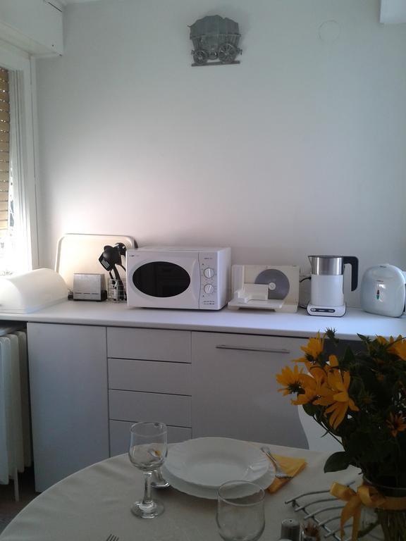 Apartment Spacious Liman โนวีซาด ภายนอก รูปภาพ