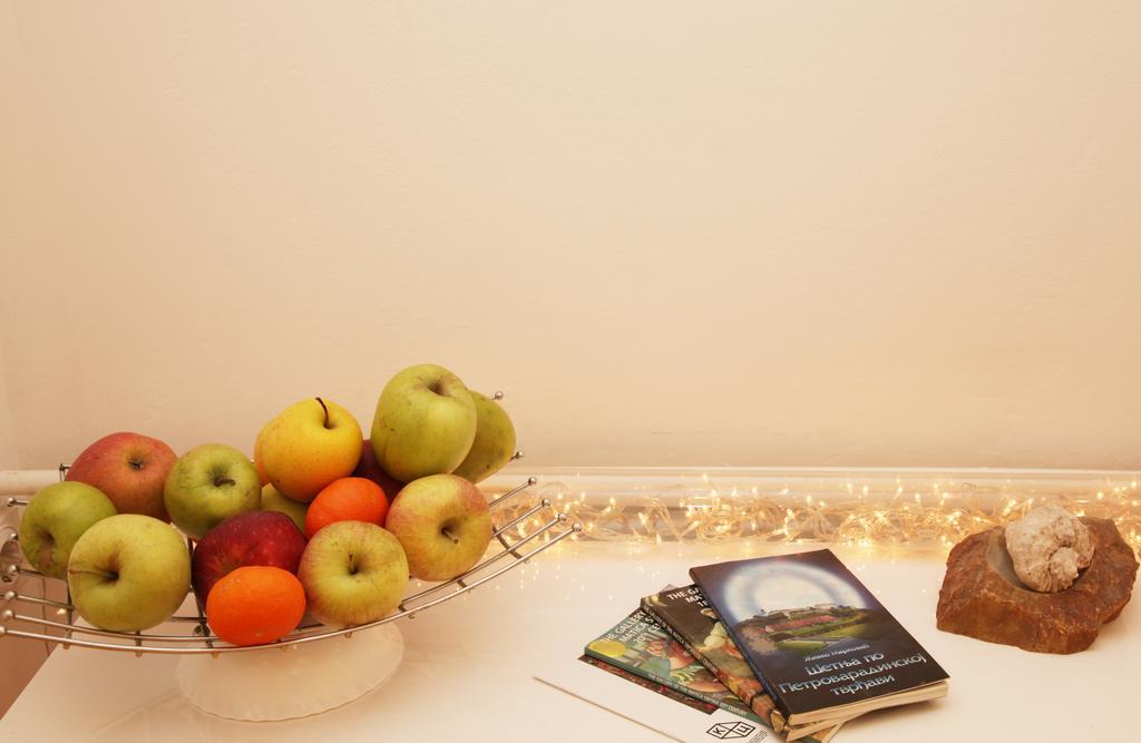 Apartment Spacious Liman โนวีซาด ภายนอก รูปภาพ
