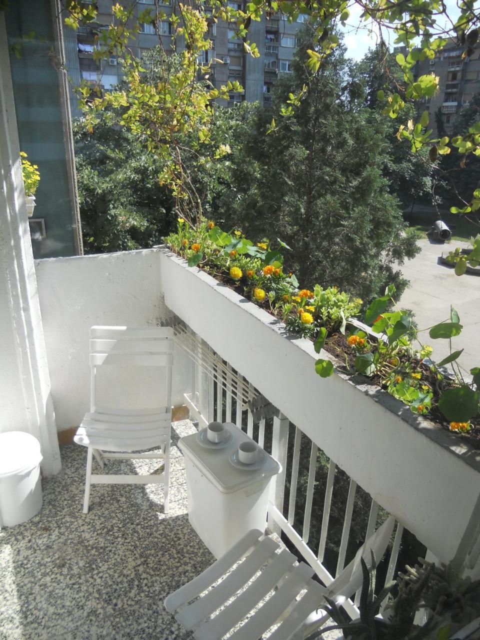 Apartment Spacious Liman โนวีซาด ภายนอก รูปภาพ